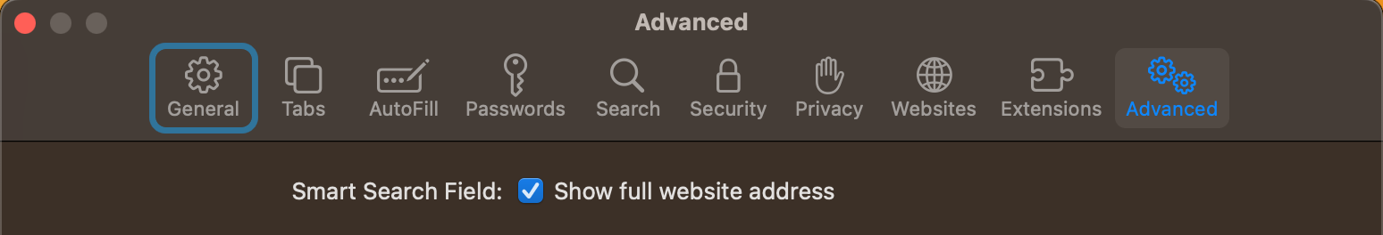 Safari setting to show full website address