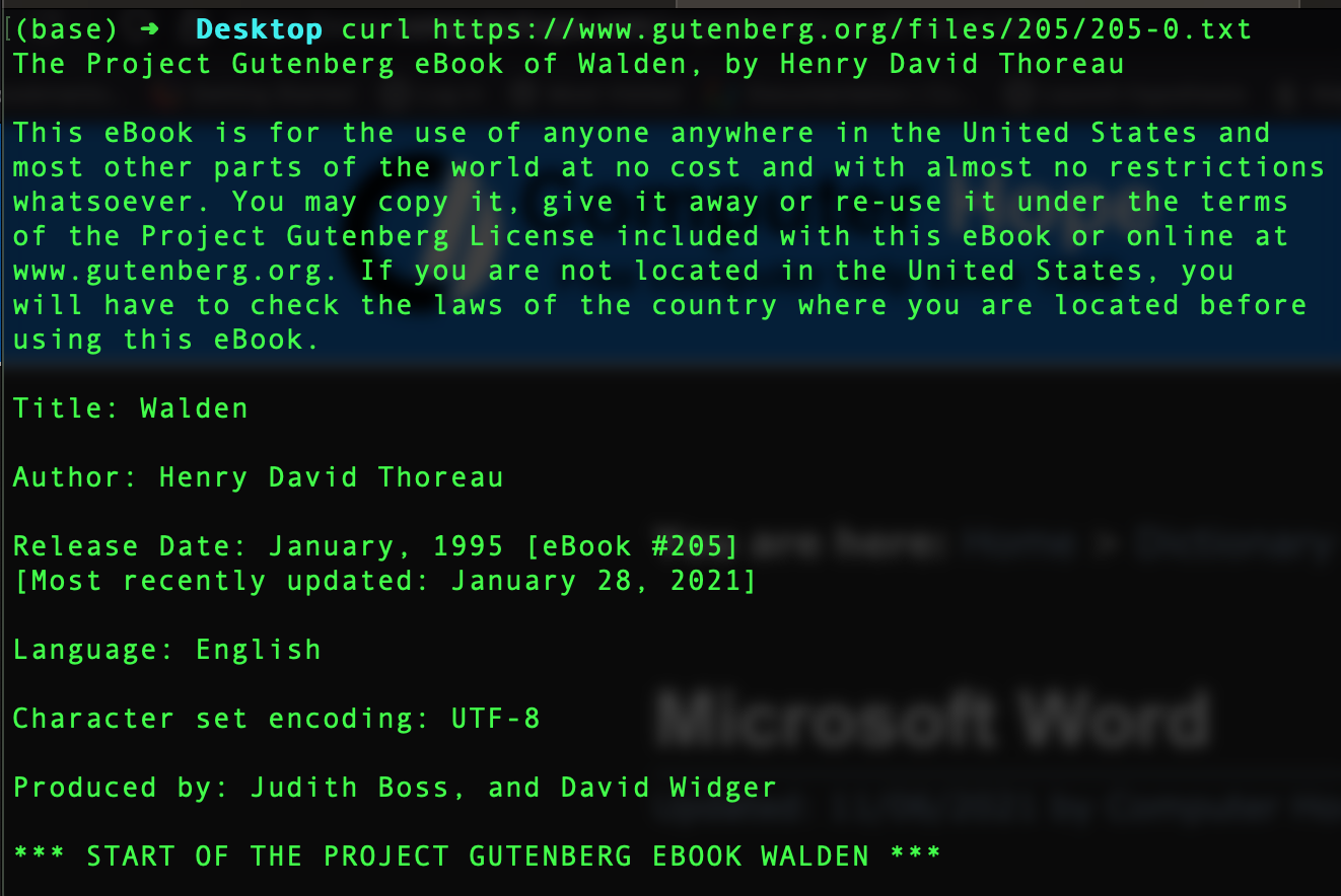 Walden in a terminal window