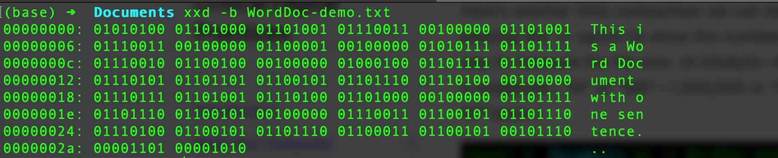 Word document byte contents as seen at the command line